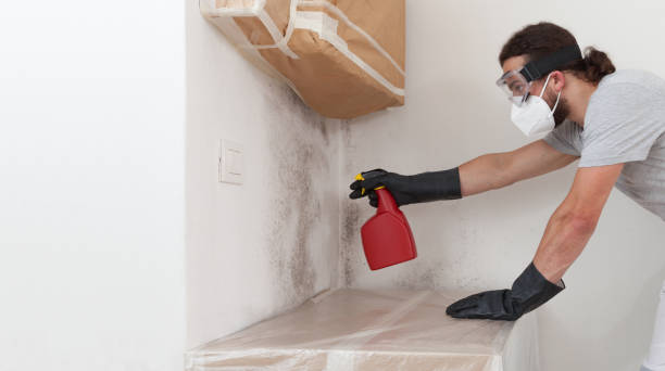 Professional Mold Cleanup technician working in Cordova, NC