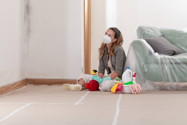 Reliable Mold Cleanup contractor in Cordova, NC by WQB Mold Removal